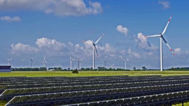 El sector renovable aplaude la fijación de la rentabilidad que elimina la incertidumbre y facilita los desarrollos futuros