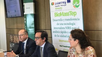 El proyecto europeo Biomasstep presenta sus resultados en Sevilla