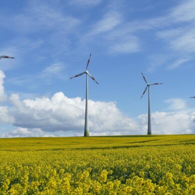 Las renovables son la única solución  para reducir la dependencia  energética