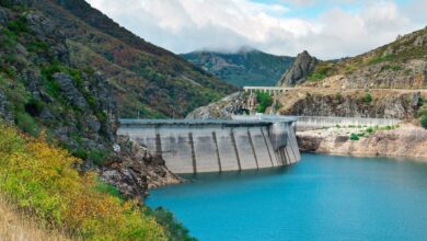 El sector renovable reclama cambios sustanciales para blindar la seguridad energética